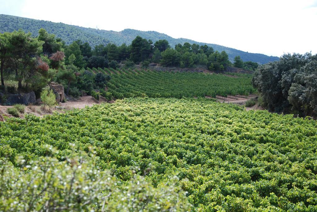 Vilosell Wine Hotel El Vilosell Екстериор снимка