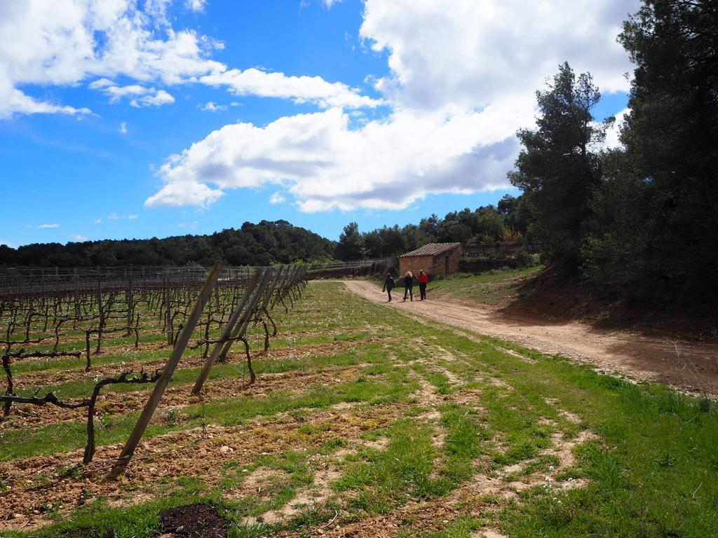 Vilosell Wine Hotel El Vilosell Екстериор снимка